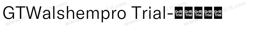 GTWalshempro Trial字体转换